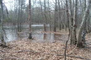 Sinkhole pond