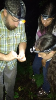 Billy points out features of a male Cow Knob salamander.